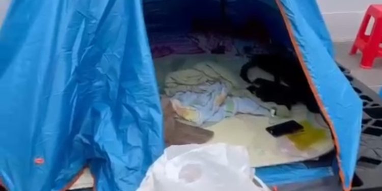 Tertipu Penyalur Kerja ke Luar Negeri, Habis Ratusan Juta, Malah Tidur Tenda Dekat Kandang Kelinci di Hongkong