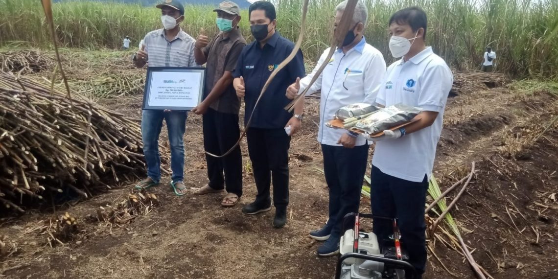 Ingat !!! Tahun 2022 Petani Tak Dapat Bibit Tebu Terbaik, Langsung Lapor Mentri BUMN
