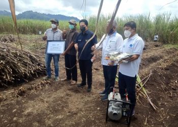 Ingat !!! Tahun 2022 Petani Tak Dapat Bibit Tebu Terbaik, Langsung Lapor Mentri BUMN