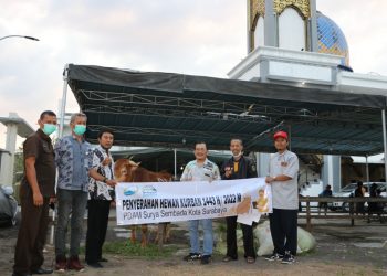 Semarak Idul Adha 1443 H, PDAM Surya Sembada Kurban Belasan Sapi Bebas PMK