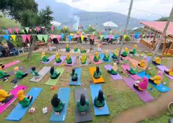 Jungle Cafe Trawas, Cafe Yang Menyuguhkan Keindahan Panorama Gunung Penanggungan 14 Jungle Cafe Trawas, Cafe Yang Menyuguhkan Keindahan Panorama Gunung Penanggungan