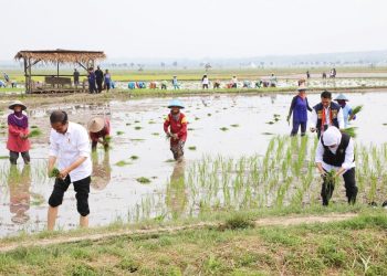 Tanam Padi Bersama Presiden Jokowi, Gubernur Khofifah Tegaskan Siap Jaga Produktivitas Dengan Mendorong Percepatan Masa Tanam
