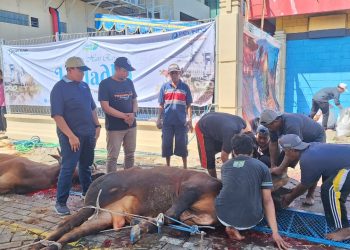 Kolaborasi PT TPS Dengan LMI Salurkan 1900 Paket Daging Qurban pada Mitra dan Masyarakat