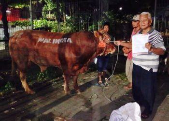 DPD Partai Golkar Surabaya, Sembelih 4 Ekor Sapi dan Puluhan Kambing, Termasuk Satu Ekor Sapi Kurban Sumbangan Eri Cahyadi