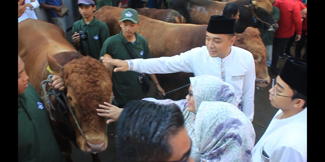 Wali Kota Surabaya Serahkan Sapi Kurban Ke RPH, Ada 77 Hewan Kurban Di Sembelih Untuk Warga Surabaya