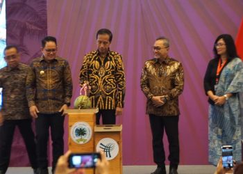 Presiden Jokowi Dorong Peningkatan Produksi Kelapa Nasional,Potensi Besar Ambil Peluang Ekonomi Hijau