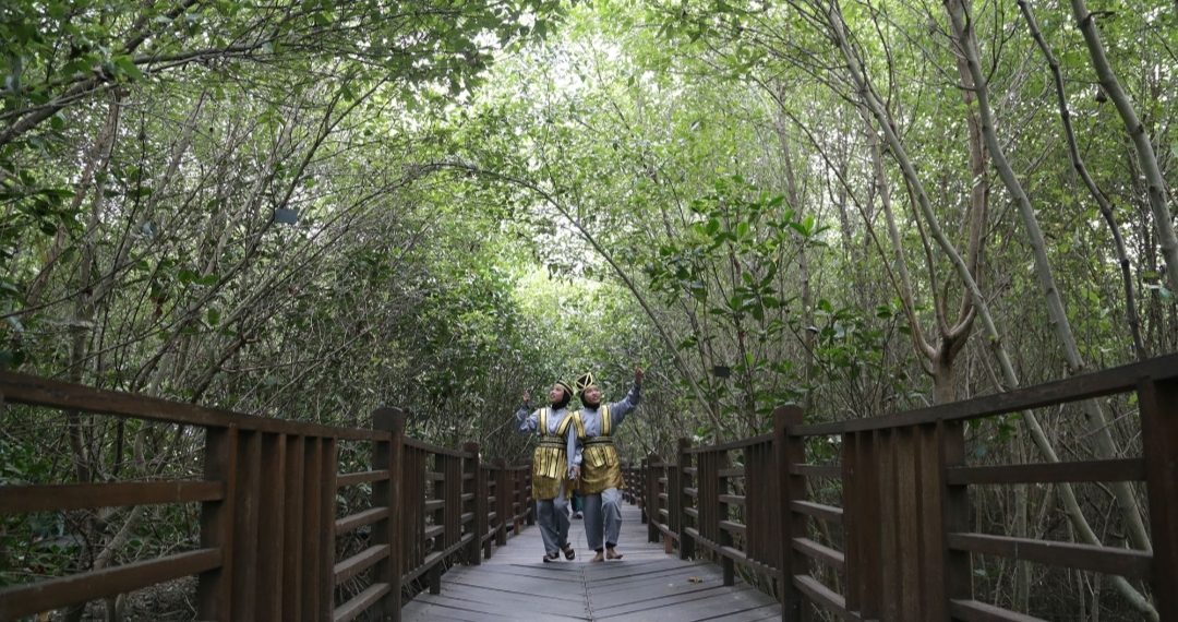 Kebun Raya Mangorve Surabaya Terlengkap se-Indonesia, Miliki Koleksi 59 Jenis Tanaman