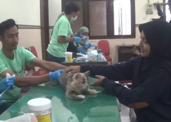 Peringati Hari Rabies Sedunia, Disnakan Jombang Gelar Vaksinasi Rabies Gratis