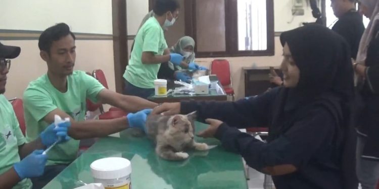 Peringati Hari Rabies Sedunia, Disnakan Jombang Gelar Vaksinasi Rabies Gratis