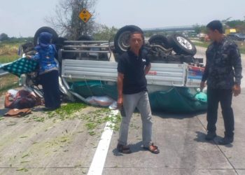 Pecah Ban Serempetan dengan Minibus, Pikap Muatan Cabai Terbalik di tol Jomo