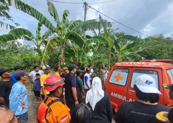 Korban Banjir Saat Selamatkan Benih Padi Ditemukan Meninggal Dunia di Sungai Afvour Watudakon