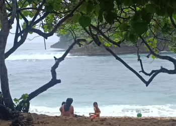 Pantai Teluk Asmara, Raja Ampatnya Jawa Timur, Destinasi Terbaik untuk Liburan Akhir Tahun