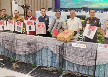 Polisi Bongkar Penjualan Anak Komodo ke Thailand: Dikemas dalam Paralon, Dijual Rp500 Juta Per Ekor