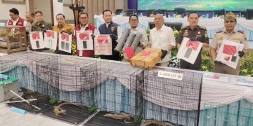 Polisi Bongkar Penjualan Anak Komodo ke Thailand: Dikemas dalam Paralon, Dijual Rp500 Juta Per Ekor