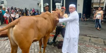 Wujud Kepedulian Sesama, Majelis Ar-Rohimin Surabaya Sembelih 41 Hewan Kurban pada Idul Adha 1447 H