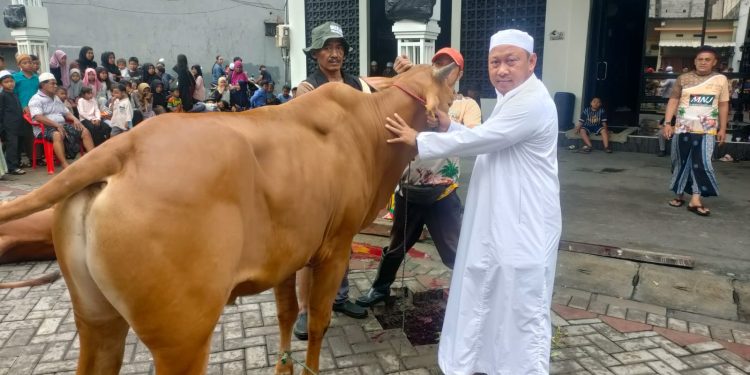 Wujud Kepedulian Sesama, Majelis Ar-Rohimin Surabaya Sembelih 41 Hewan Kurban pada Idul Adha 1447 H