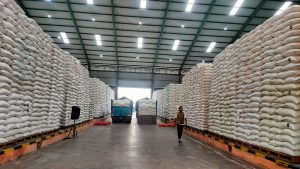 59 Tahun Bulog Mengawal dan Manjaga Pangan, Siap Menatap Masa Depan Kedaulatan Pangan di Tengah Krisis Global 12 IMG20260419104612
