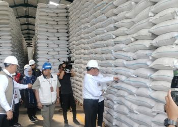 Mentan Jamin Stok Beras Aman Sampai 11 Bulan ke Depan, Masyarakat Jangan Panik 13 Mentan Jamin Stok Beras Aman Sampai 11 Bulan ke Depan, Masyarakat Jangan Panik