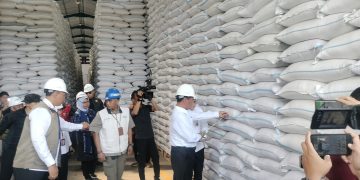 Mentan Jamin Stok Beras Aman Sampai 11 Bulan ke Depan, Masyarakat Jangan Panik