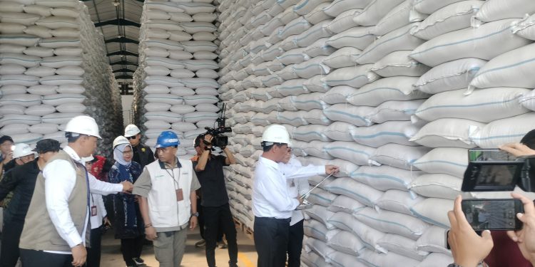 Mentan Jamin Stok Beras Aman Sampai 11 Bulan ke Depan, Masyarakat Jangan Panik